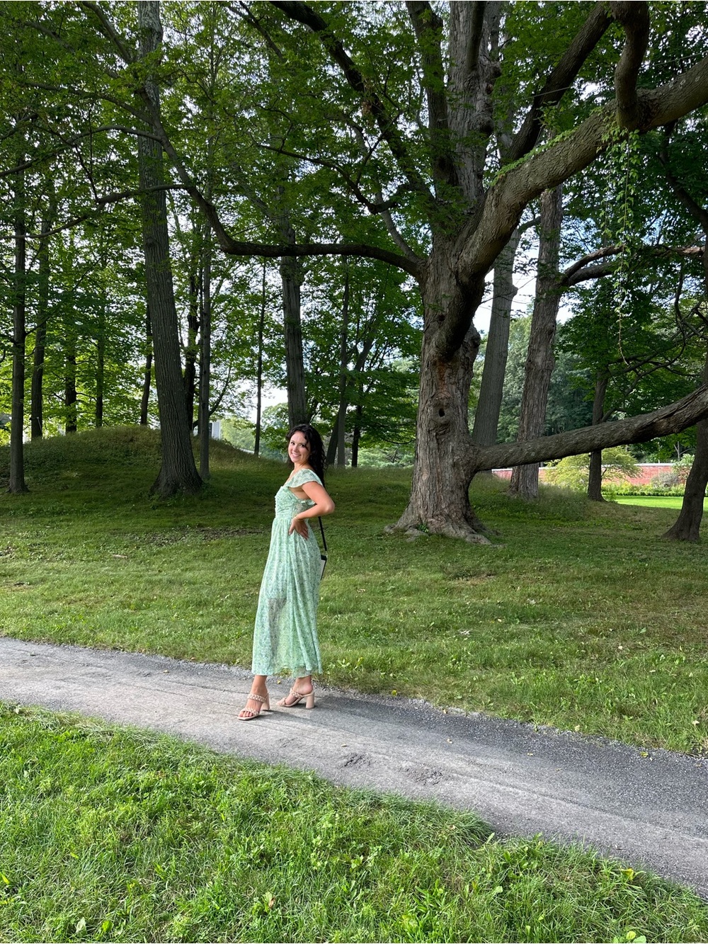 Astr Green Floral Maxi Dress with Cap Sleeves